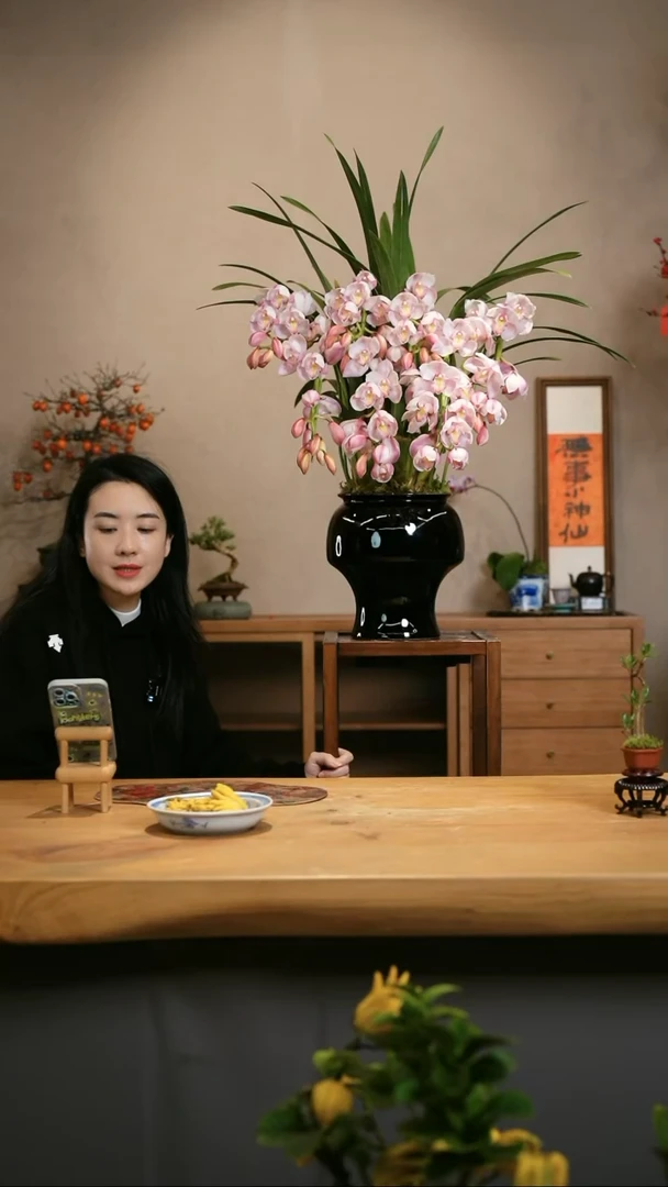 【闪购商品】拱兰11