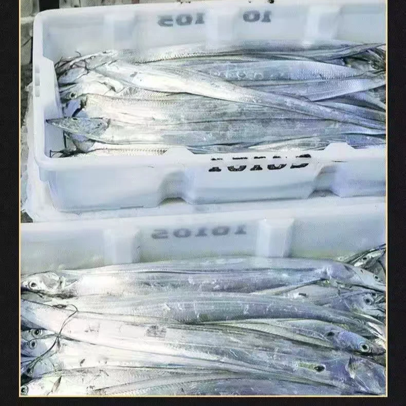 新疆包邮*伊朗带鱼整条带鱼三到四指宽肉厚鲜嫩，鲜美入味
