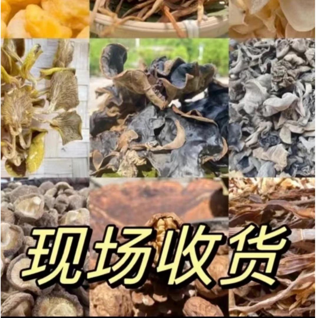 农户现场收货初级农产品