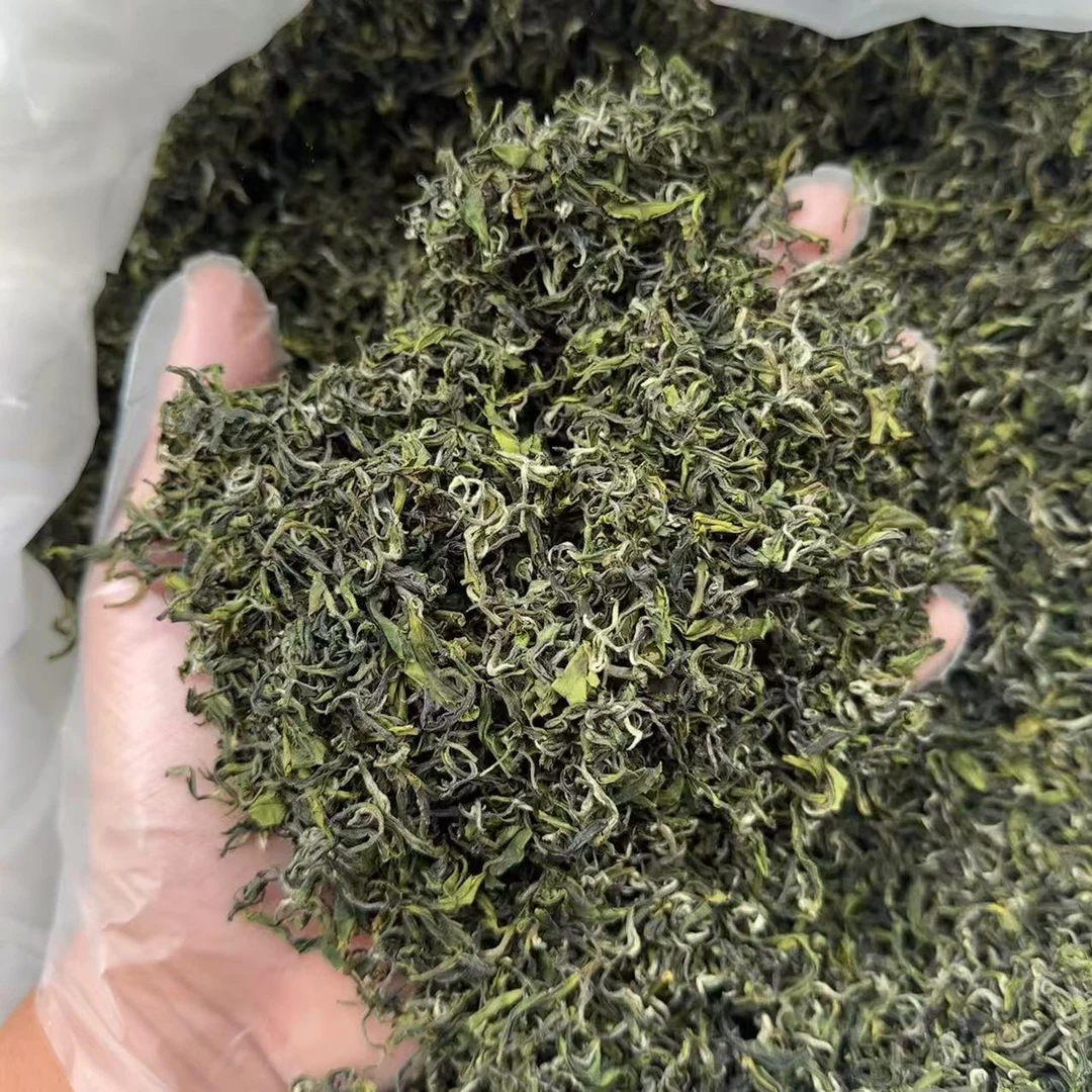 日照绿茶秋茶封园茶小料【3号】半斤250g一斤500g
