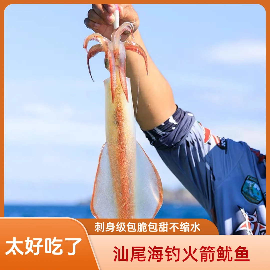 广东汕尾红海湾海钓活冻火箭鱿鱼刺身级包脆包甜包不缩水聚会必备