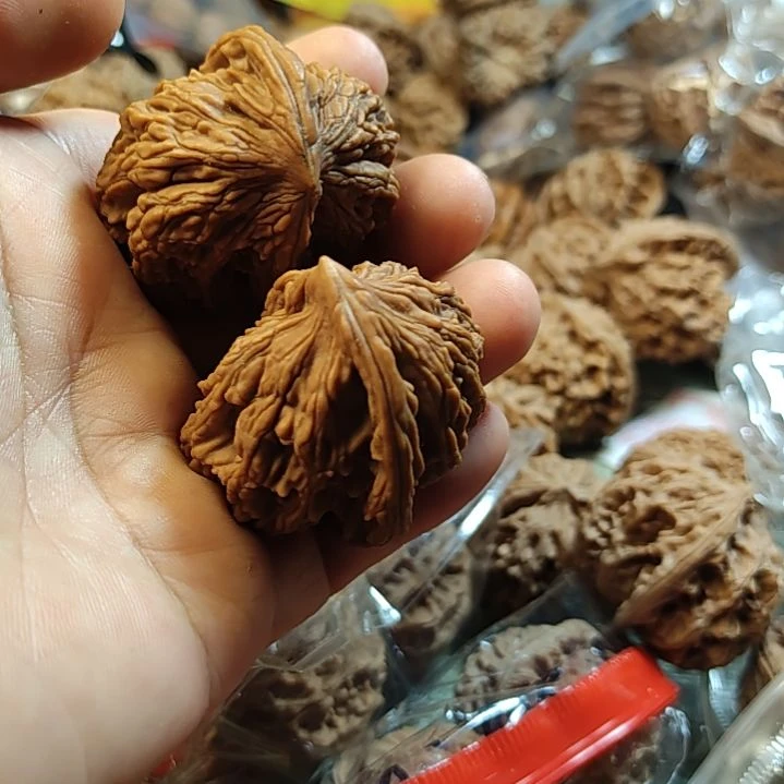 文玩核桃把件鹰嘴虎头