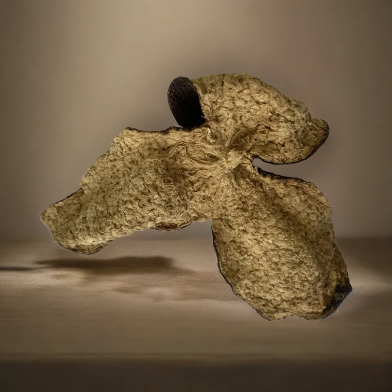 2017年九子沙带薄荷凉感50克罐装新会陈皮陈皮正宗老陈皮