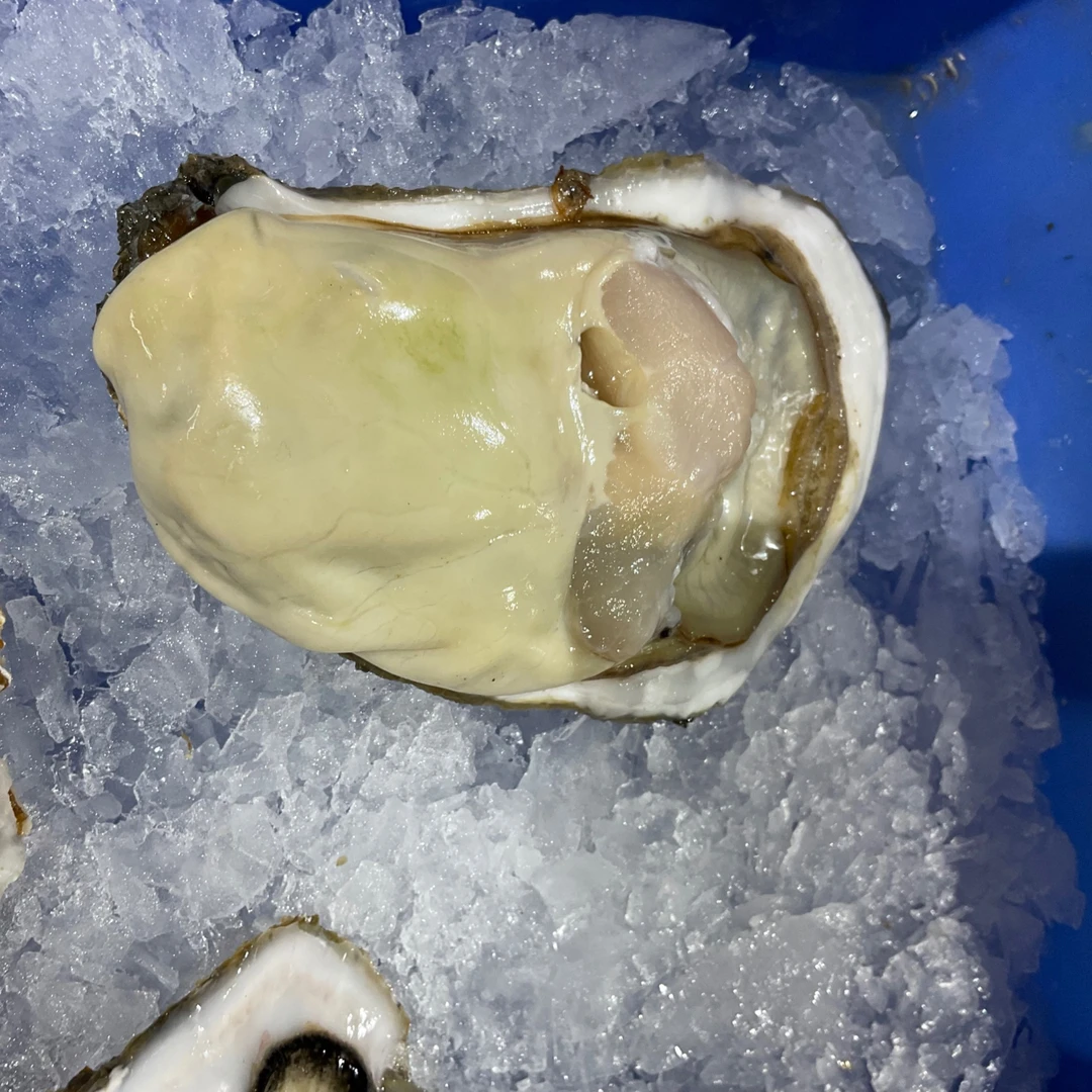 【然然妈海鲜】乳山三倍体生蚝(约500g3-4只)