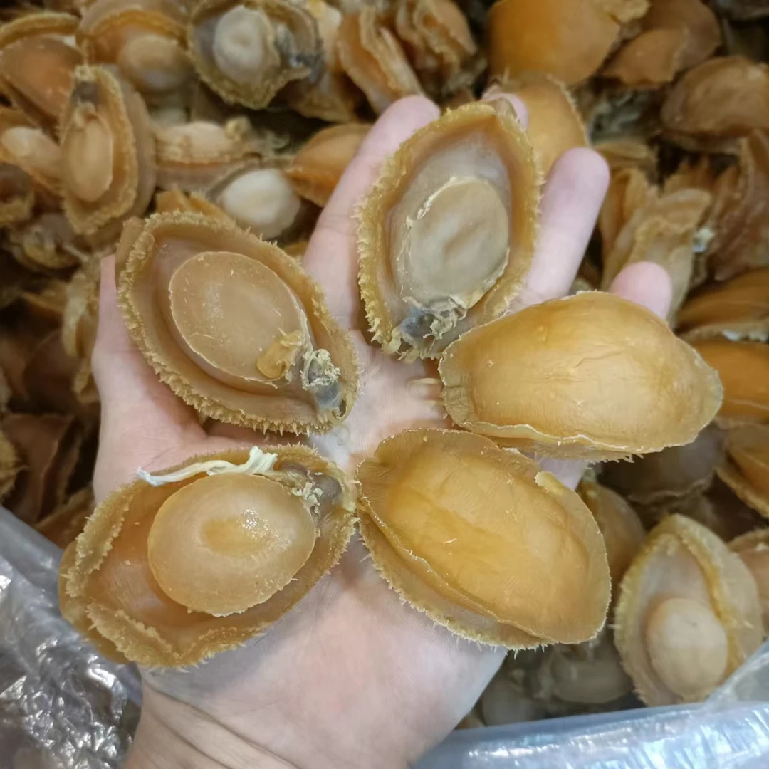 鲍鱼仔 煲汤焖鸡 大连特产 海鲜干货 250克/500克