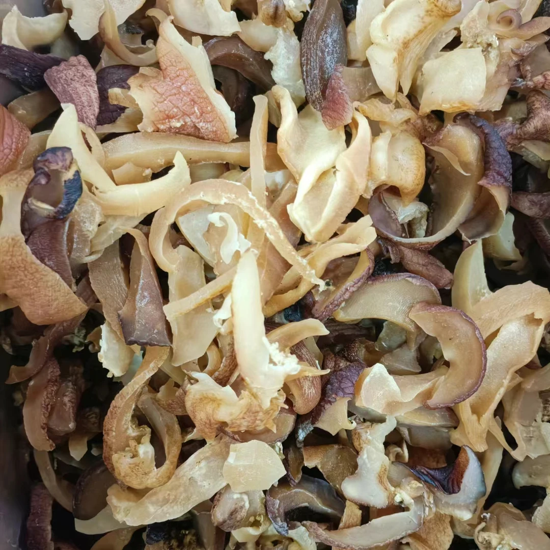 鲍螺边 海螺边 大皮 煲汤 250克/500克 珠海发货