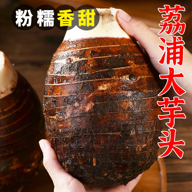 荔浦芋头净重4.8-5.2斤8.9-9.1斤包邮运输水分会流失斤数有浮动