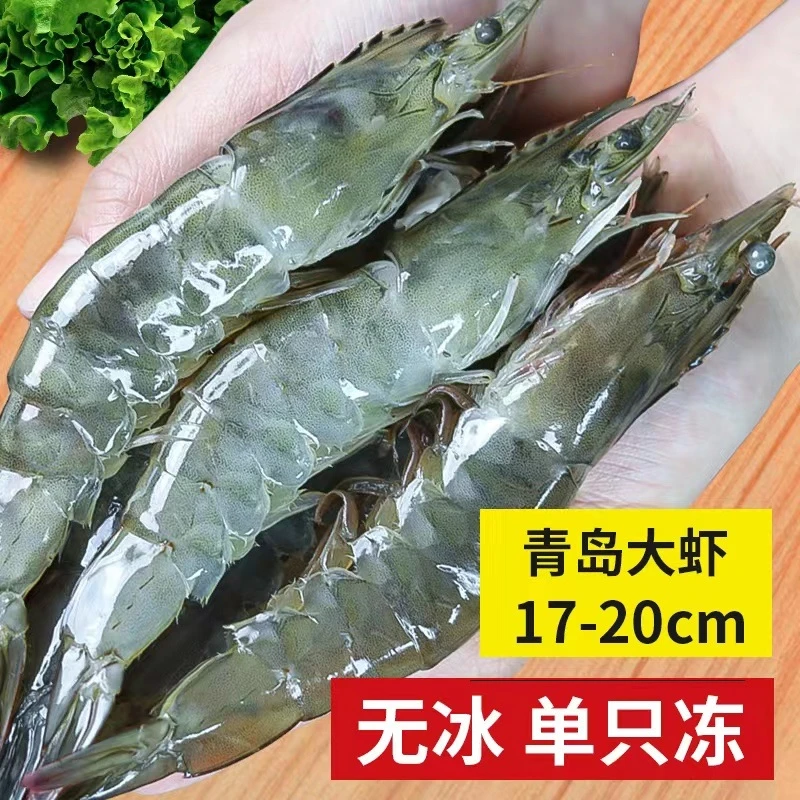 【20/30青岛大虾】鲜活超大速冻海虾新鲜基围虾海捕冻虾白虾青虾