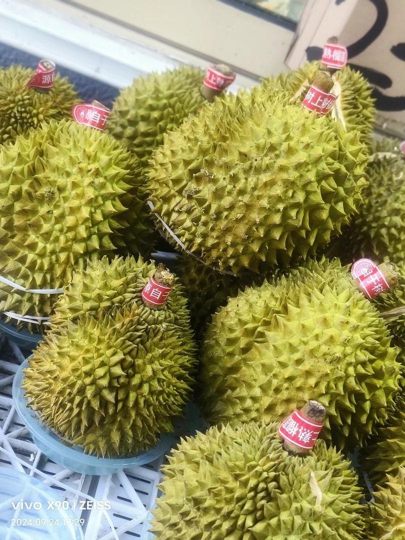 金枕榴莲19.9一斤