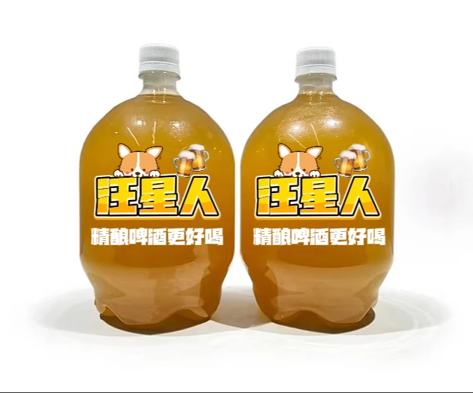 龙井小麦 2桶 3L(6斤)鲜打啤酒 汪星人冰镇精酿啤酒