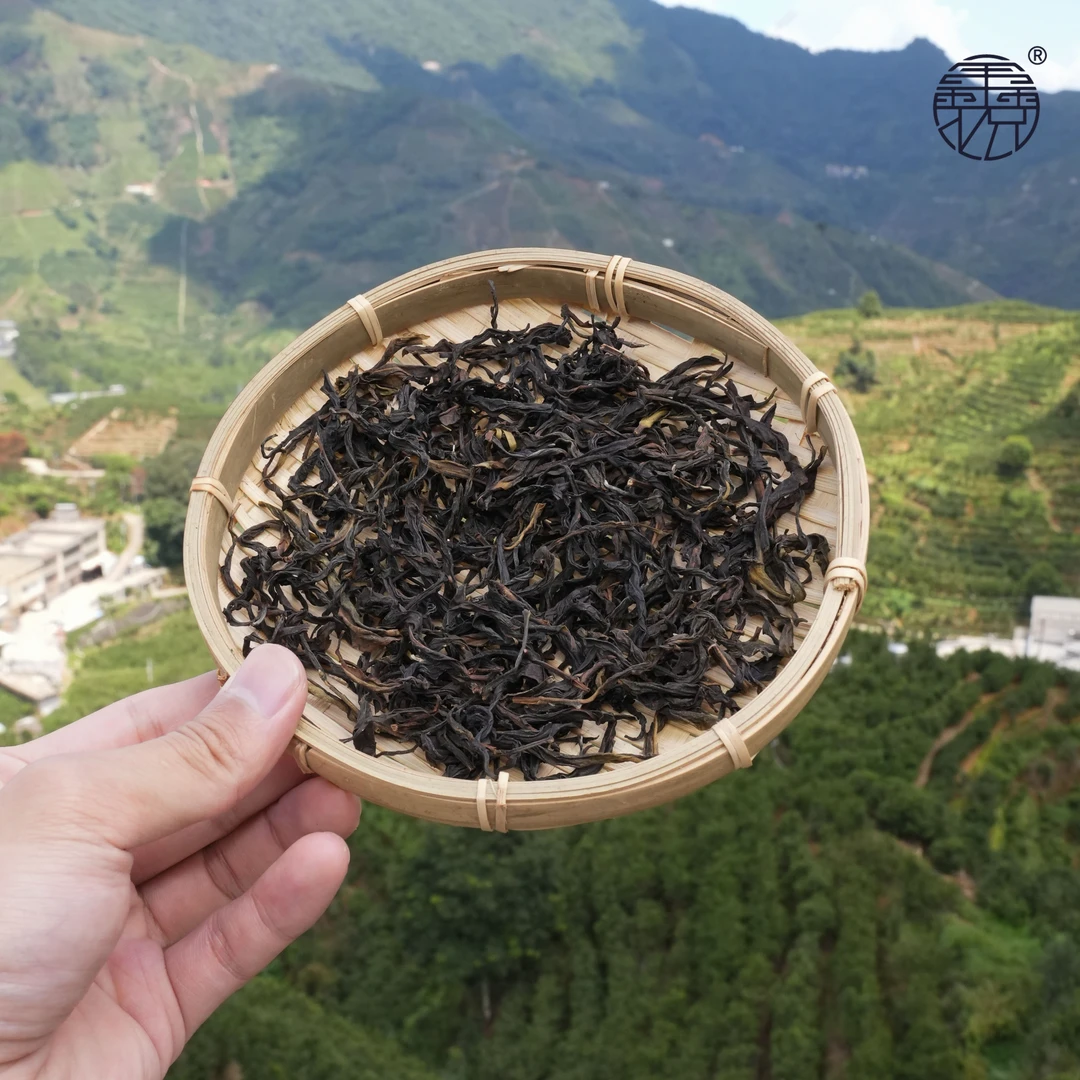 【鑫说】潮汕茶---乌岽  梨花香单枞
