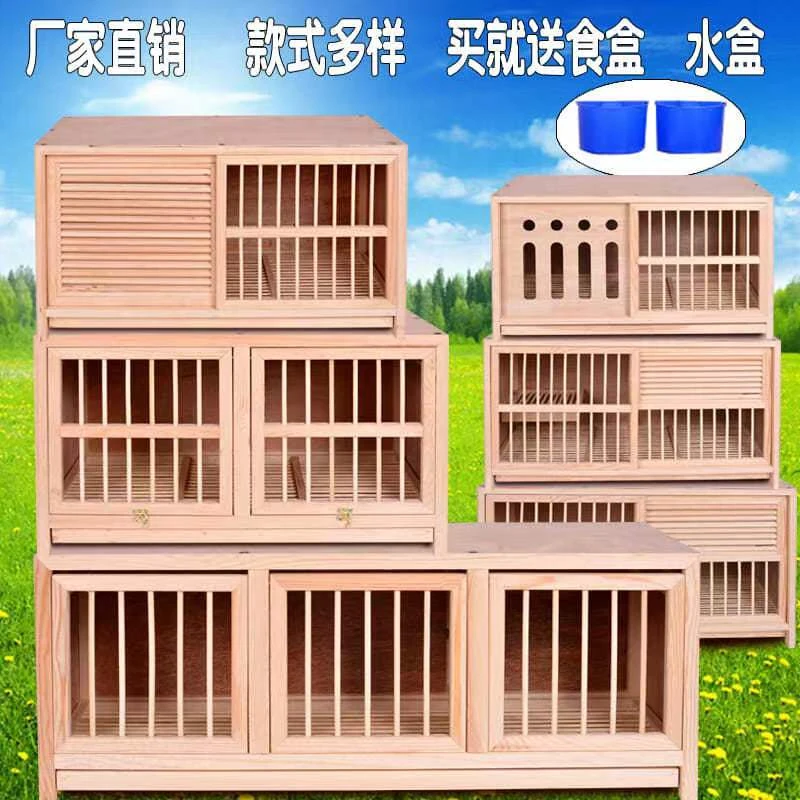 【小扬哥甄选】鸽子配对笼赛飞鸽子笼配对笼鸽子巢箱松木配对笼 配