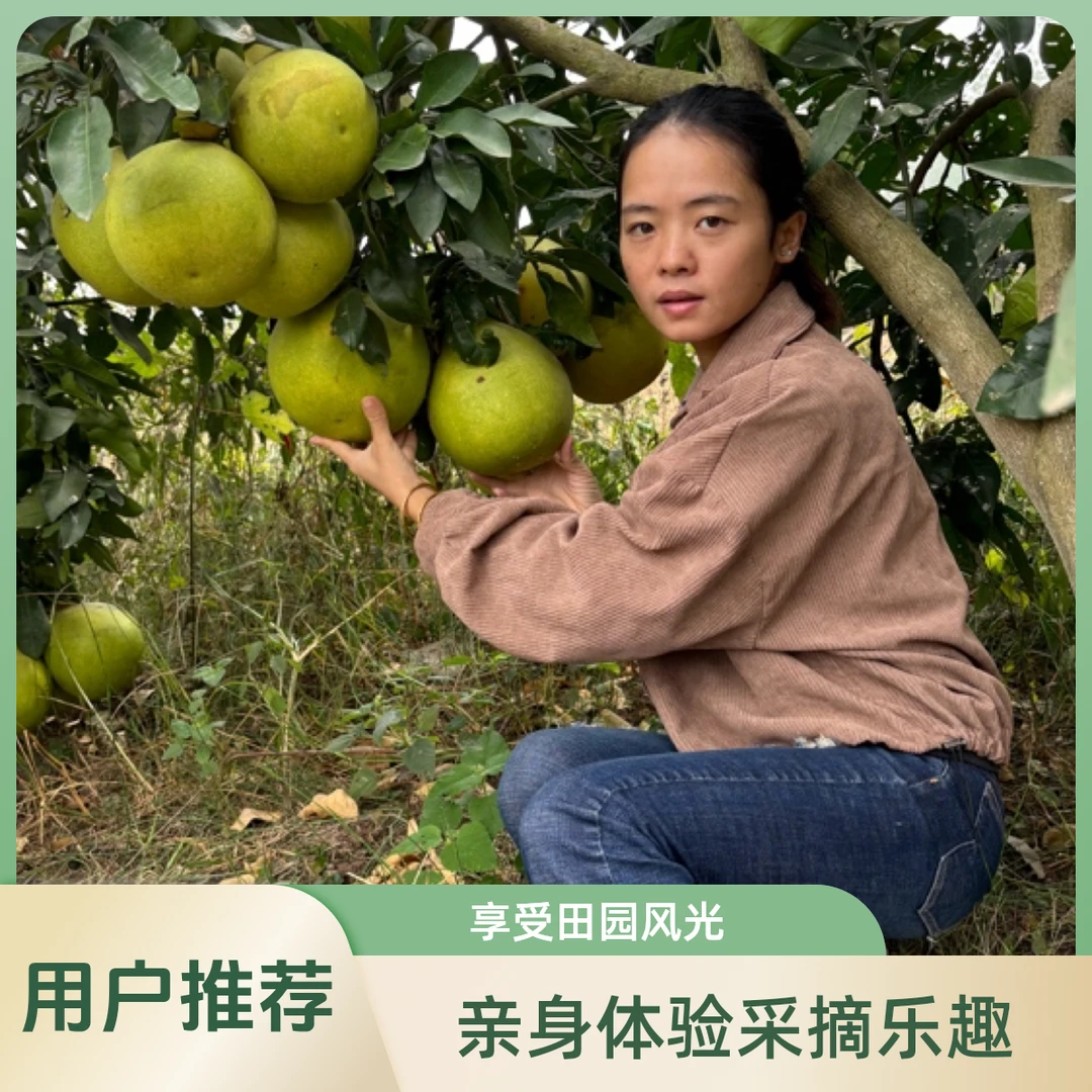湖北公安县本地红心蜜柚，八甜两酸