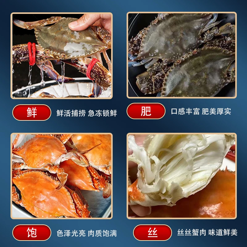 【明黄母】本地蟹子2/3斤装(单只3-4两左右)会有掉抓【保鲜不保活】