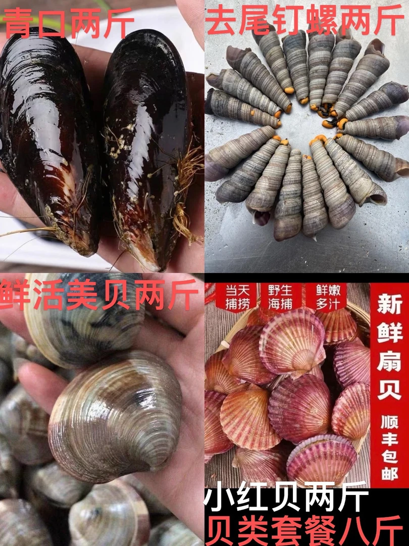 鲜活贝类套餐 红贝两斤 青口两斤 去尾钉螺两斤 美贝两斤 共八斤
