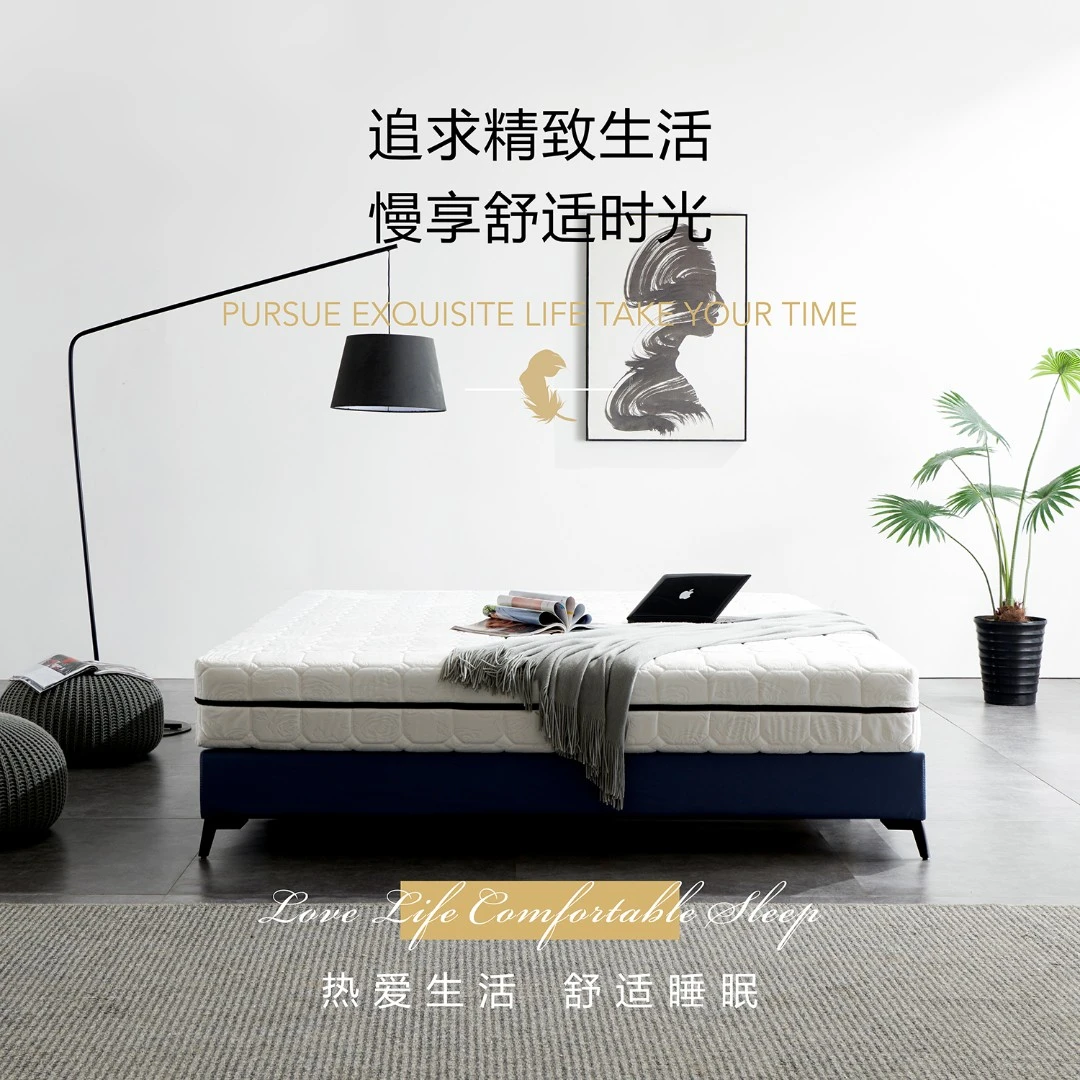 【独立袋弹簧】天鹅绒亲肤天然乳胶可拆洗压缩卷包床垫双面袋装