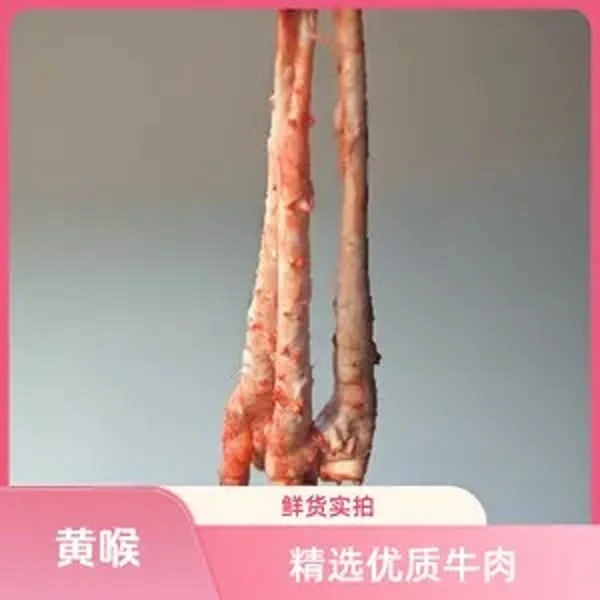 【黄喉4斤装】鲜冻顺丰 次日发货