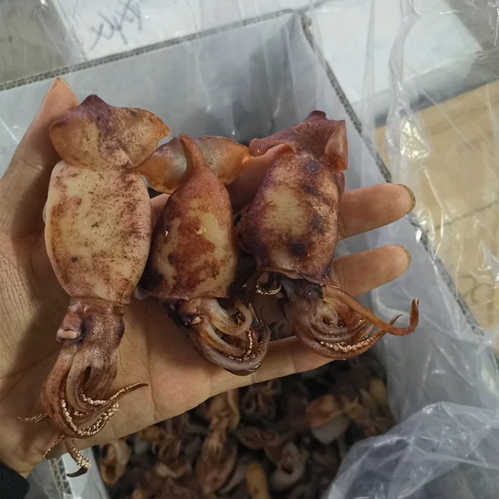 海兔子开片 珠海特产 鱿鱼片鱿鱼筒海鲜干货 500g