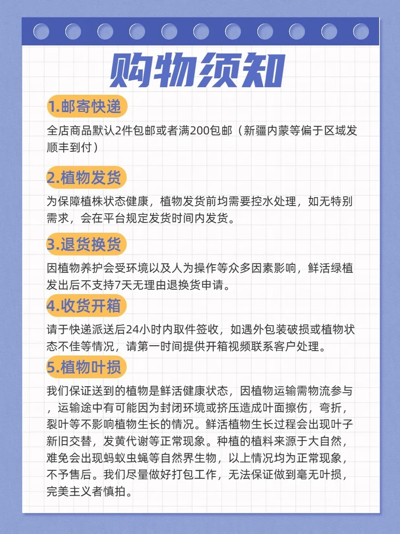 鹿角蕨壁挂绿植室内观赏绿植板植鹿角蕨