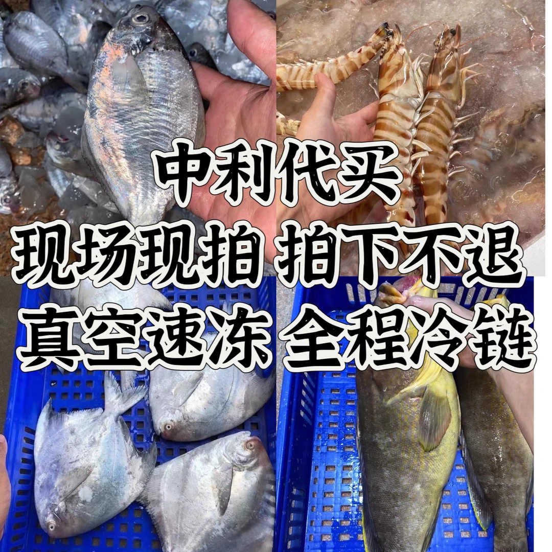 神泉港 海鱼现场代买 直播间为准
