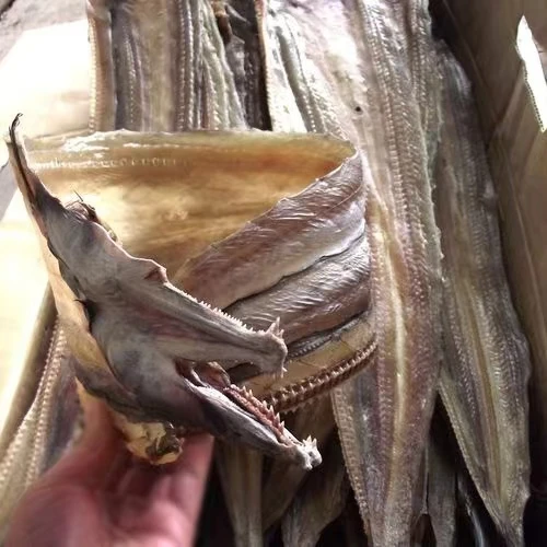 鳗鱼干 自家晾晒 无添加 肉质细腻 营养丰富 微咸干货咸鱼