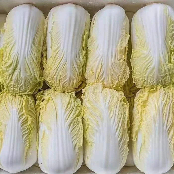 精品娃娃菜花黄心小娃娃菜时令蔬菜现采新鲜水嫩美味健康农家种植