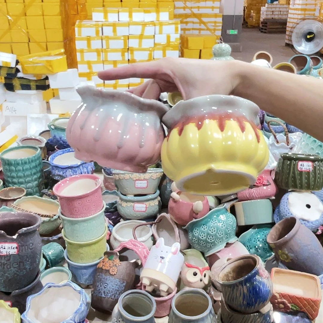 红陶20CM以下正品
