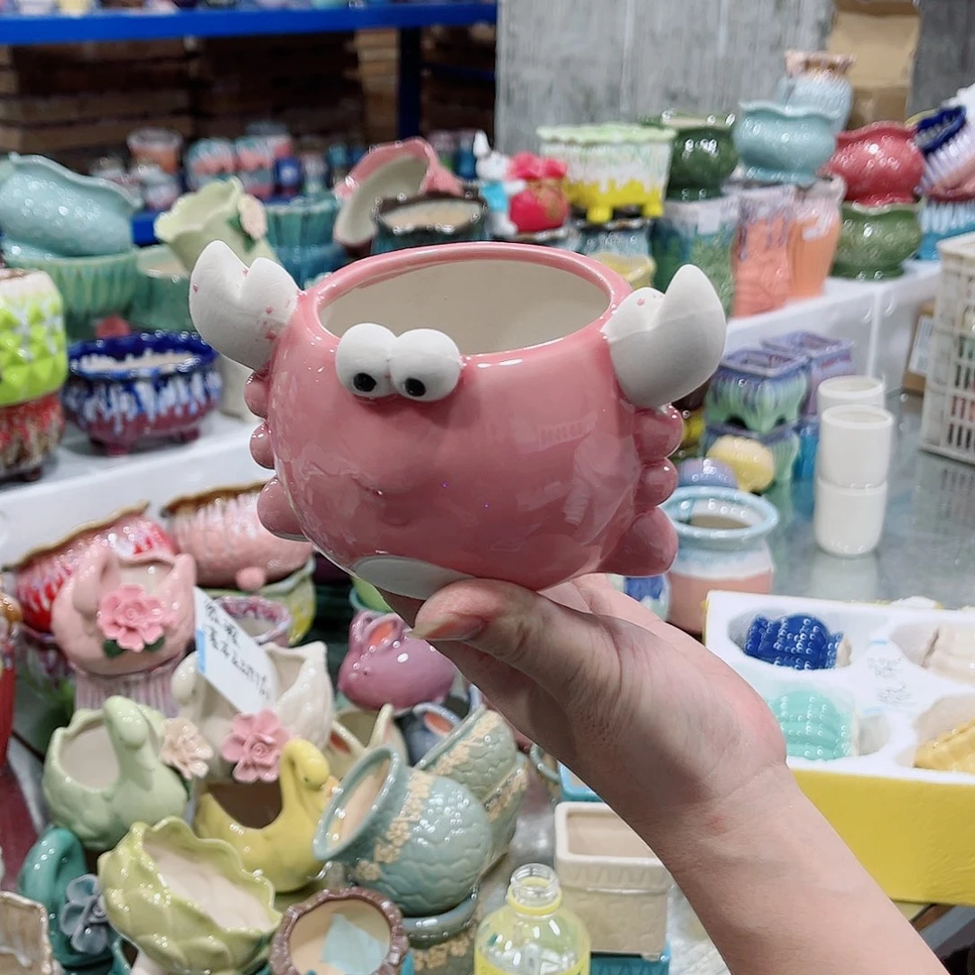 红陶20CM以下正品