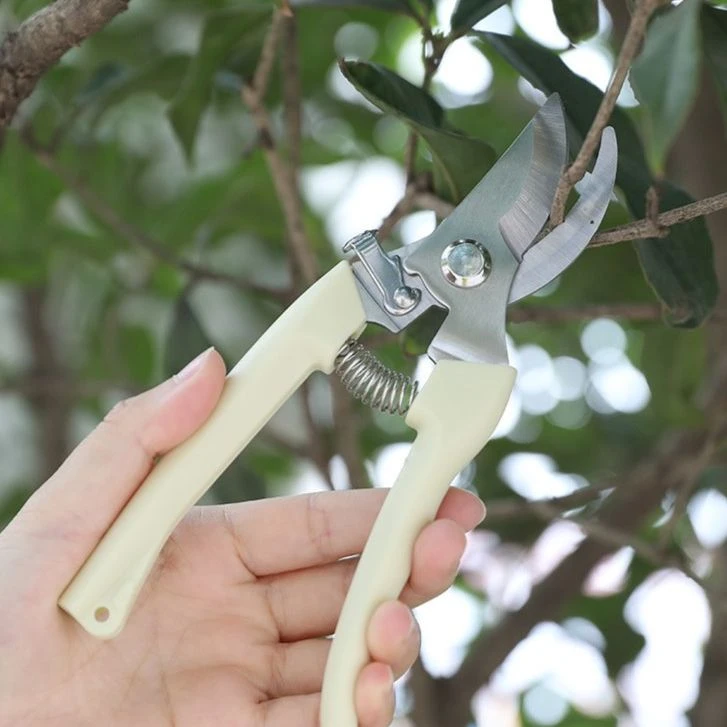 果树剪刀树枝修枝剪园艺剪修花工具疏果修果树果园园林修剪粗枝剪