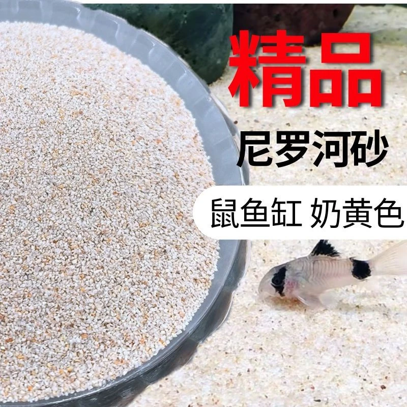 尼罗河沙鱼缸化妆沙底沙水草缸南美缸鼠鱼专用底砂鱼缸河沙细黄沙