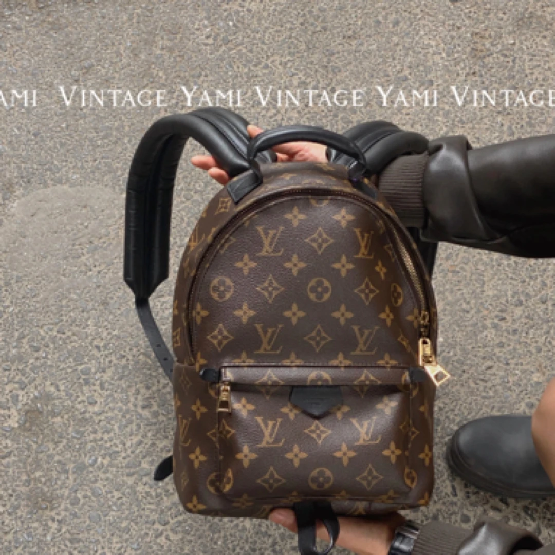 99新 LouisVuitton/路易威登 路易威登老花双肩包.L