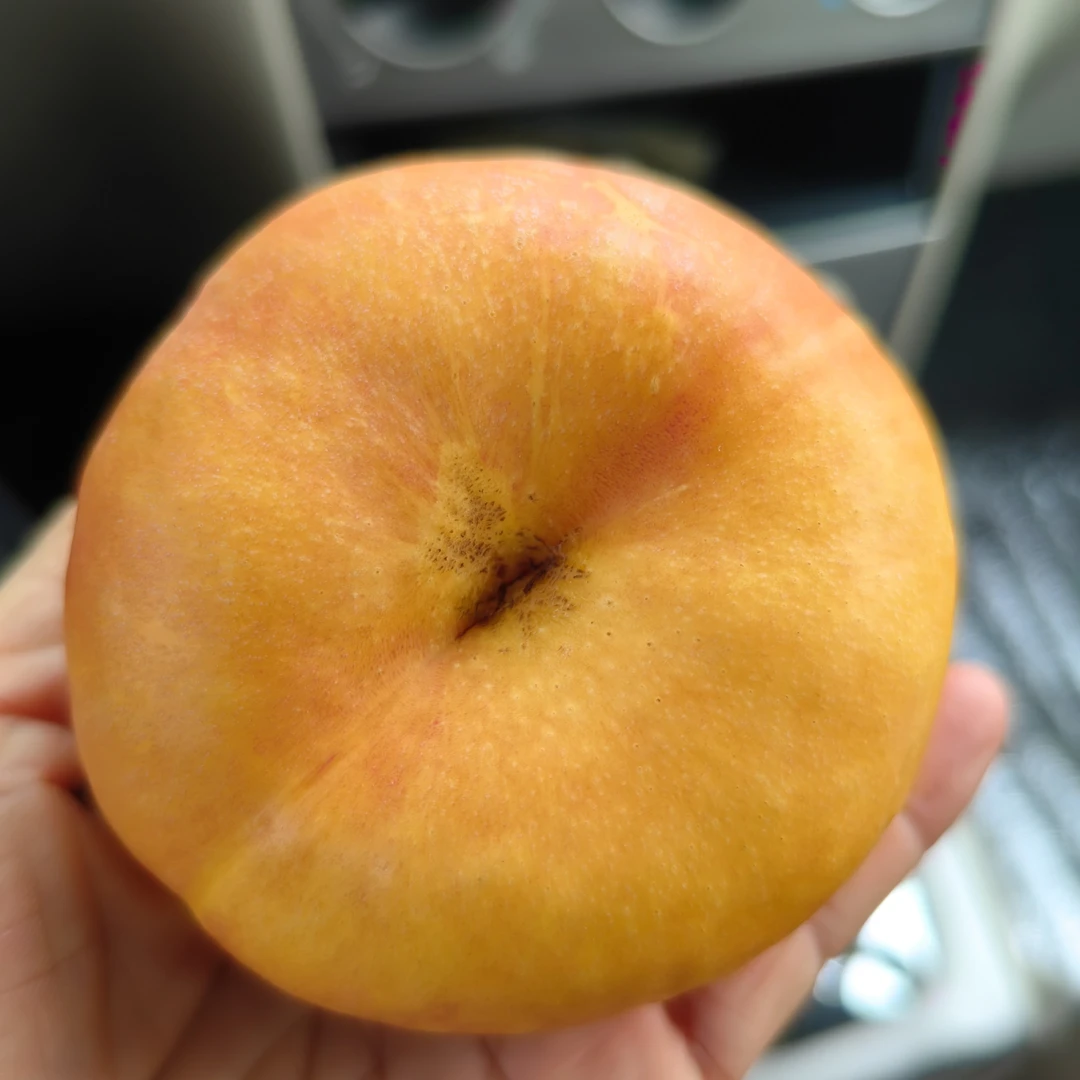 平谷黄油蟠桃（根据成熟品种发货）