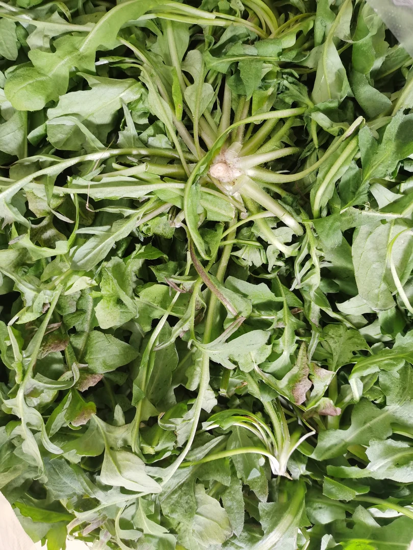 荠菜3斤-（京东包邮到家）