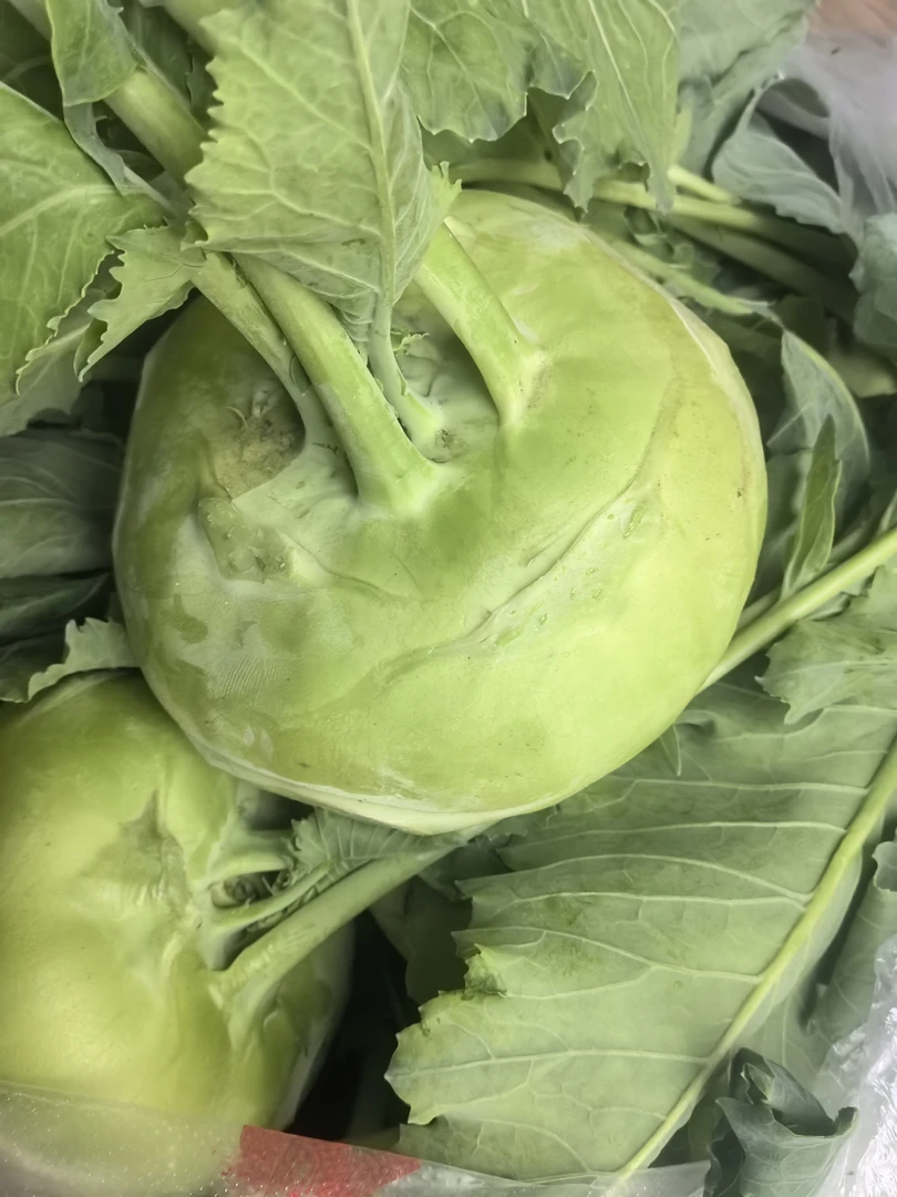 天津本地苤蓝-净重5斤（京东送到家）