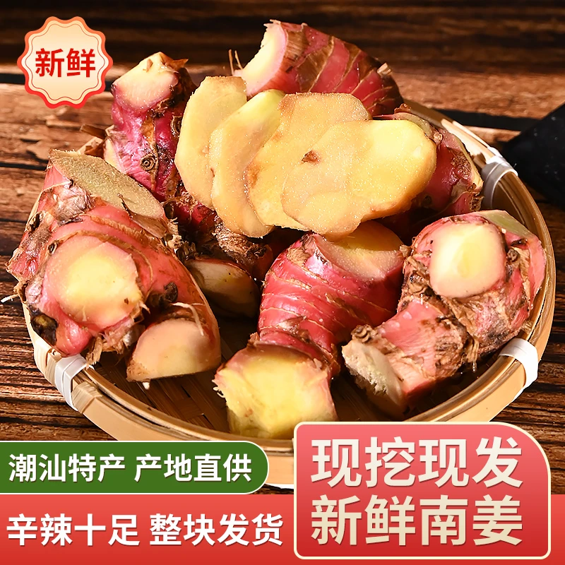 潮汕批发大妈南姜新鲜正宗农家精选老姜牛羊肉火锅卤味去膻提味
