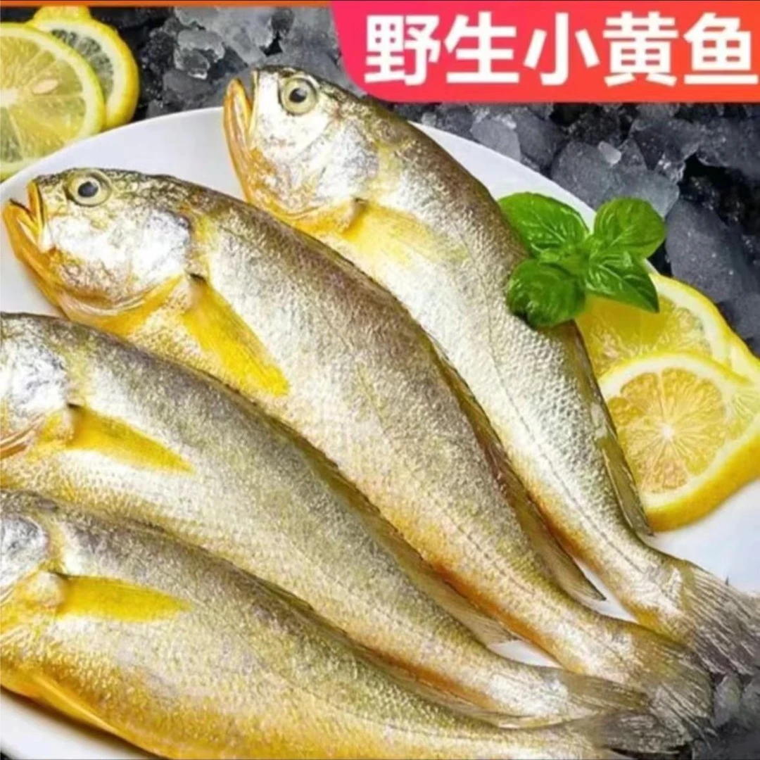 连云港发货 野生海捕小黄鱼10条左右每斤 京东顺丰冷链 清蒸香煎