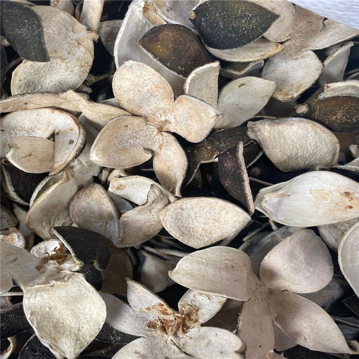 统货福利【甄好陈皮】17年东甲四花青皮