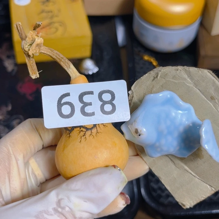瓷片好好好好好好好好好好