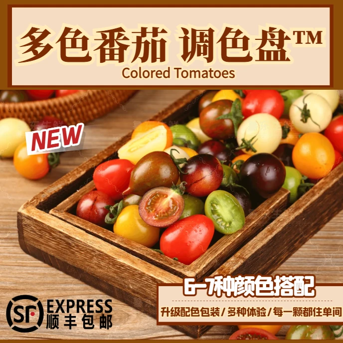 【儿时味道】番茄调色盘多彩6—7种混装彩色圣女果水果小柿子发顺丰