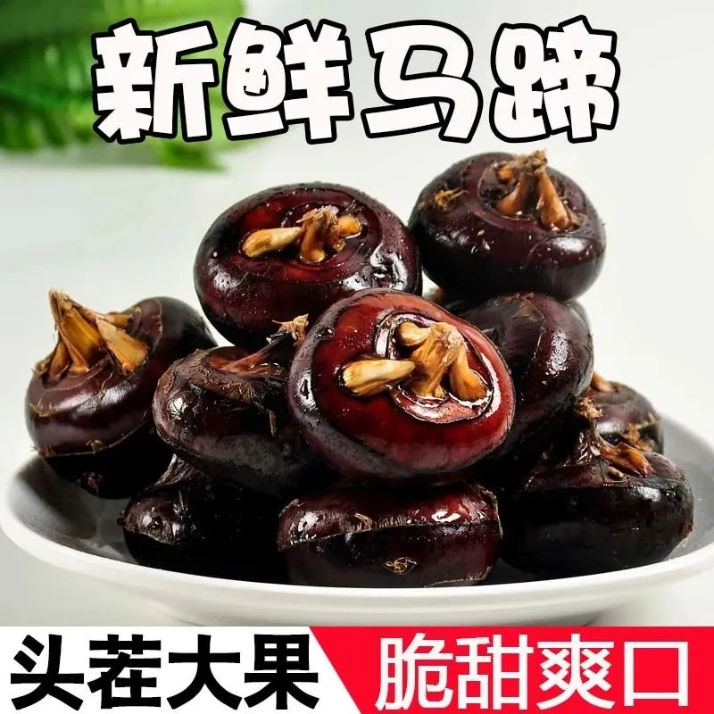 大果广东乐昌北乡马蹄荸荠新鲜现挖地梨菩荠爽脆甜无渣水果特产