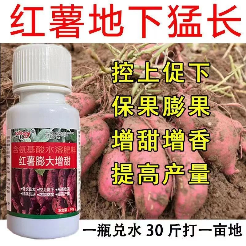红薯地下猛长膨大素红薯控旺增产防裂果控旺膨大素叶面肥膨大剂
