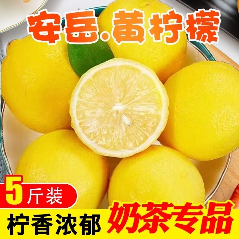 四川安岳黄柠檬带箱5斤装酸爽多汁尤力克产品单果200g+