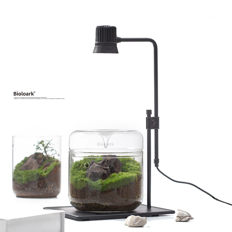 Bioloark【生物方舟】5瓦板灯苔藓微景观照明可放卧室客厅