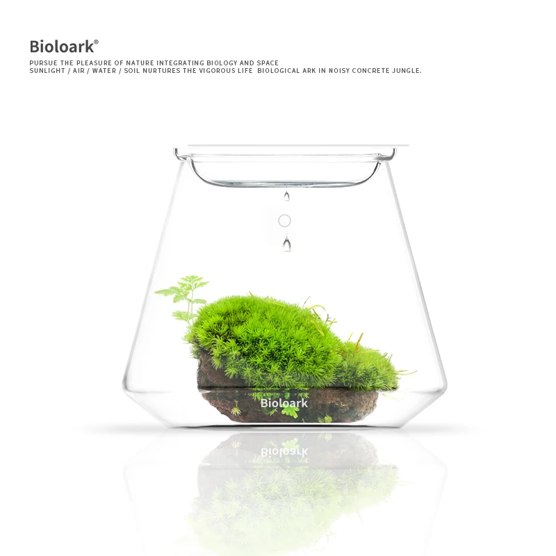 【Bioloark】[泡泡杯]可爱MINI杯苔藓瓶微景观桌面摆件玻高硼生态瓶