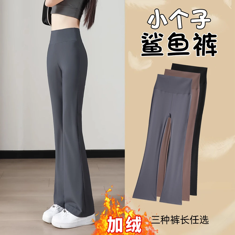 小个子微喇鲨鱼裤女秋冬加绒打底裤可外穿收腹显瘦高腰运动瑜伽裤