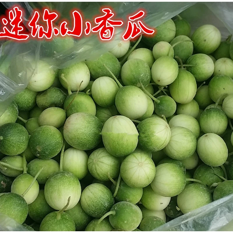 迷你香瓜种子 野生马泡瓜野果种籽庭院 阳台盆栽小西瓜孑马宝蛋瓜