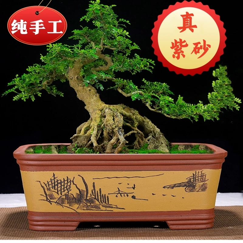 长方形紫砂花盆四方马槽盆种树种老桩大口径花盆厂家直销精品花盆
