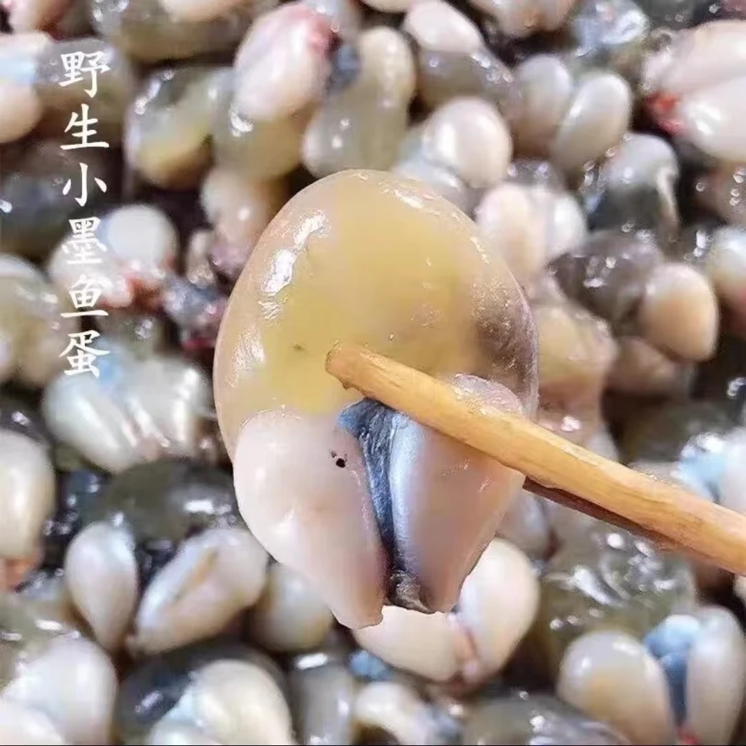 捕鱼人舟山特产 墨鱼蛋200g/盒 乌贼蛋冷冻保存 江浙沪顺丰包邮