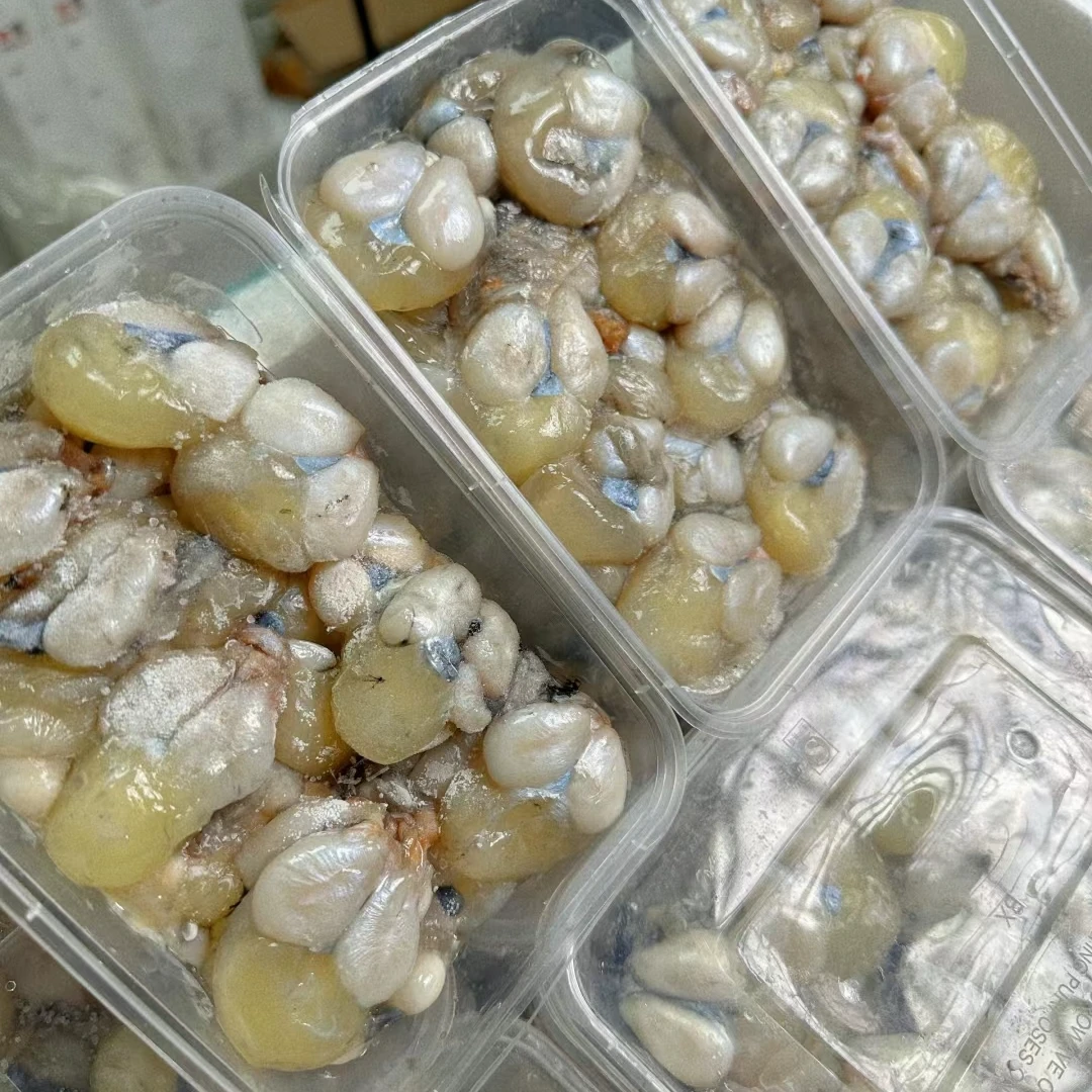 舟山捕鱼人墨鱼蛋200g/盒99元8盒江浙沪包邮放冰箱速冻保存
