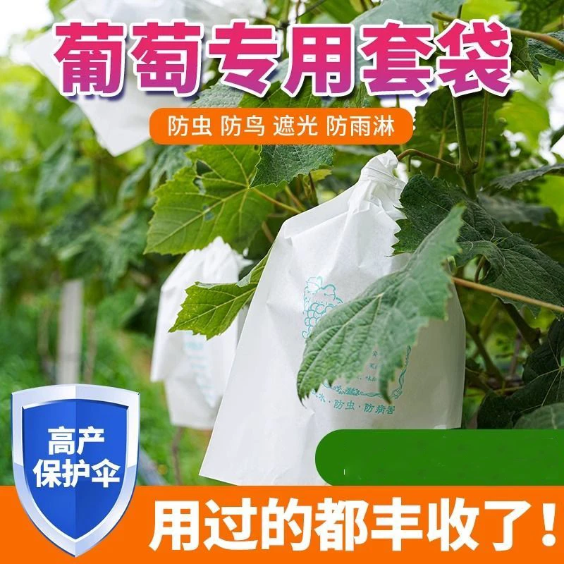 【量大更优惠】无纺布葡萄套袋水果露天专用防虫防鸟防雨水葡萄袋子